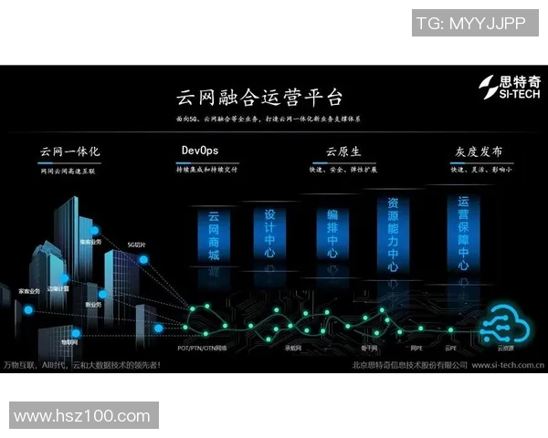武汉羽毛球队运营策略深度分析与市场发展前景探讨